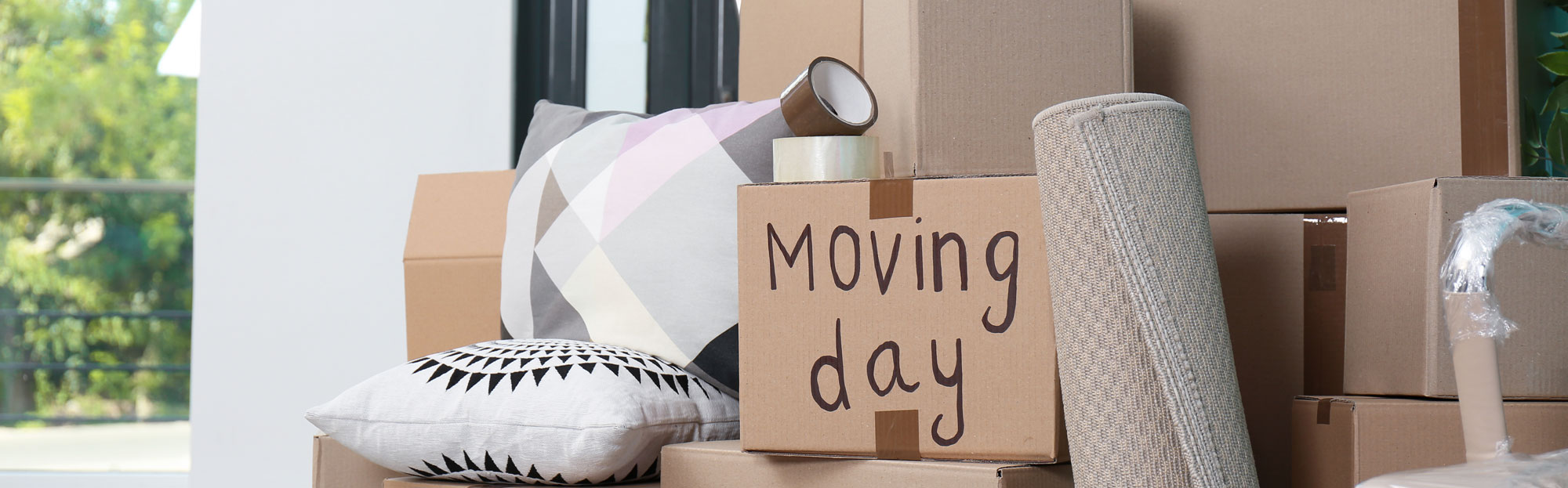 Move-Out Bg